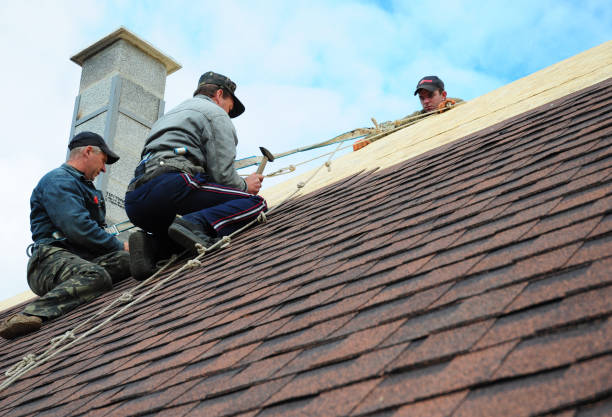 Best Roof Gutter Cleaning  in Highland On The Lake, NY